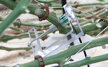 原位莖桿水勢(shì)測(cè)量?jī)x