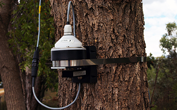 DBV60環(huán)式生長記錄傳感器