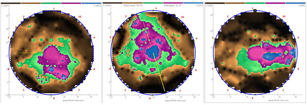 TRU樹(shù)木雷達(dá)、Picus 3和TreeQinetic樹(shù)木拉伸測(cè)試儀落戶長(zhǎng)春市園林植物保護(hù)站