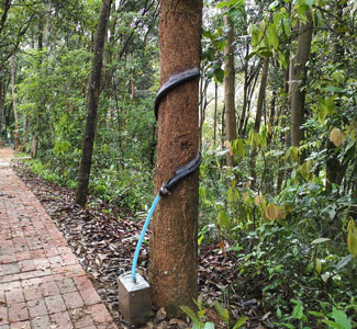 圖片關(guān)鍵詞