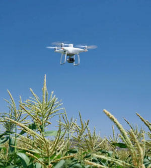 P4精靈多光譜無(wú)人機(jī)