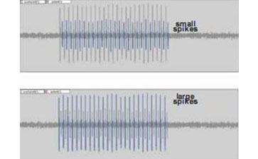 SSR昆蟲觸角單感覺器測量系統(tǒng)