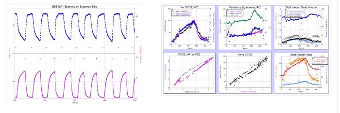 BBB1LP呼吸測(cè)量?jī)x(O2+CO2)
