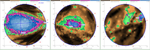 點(diǎn)將科技技術(shù)團(tuán)隊(duì)順利完成1600年樹(shù)齡古樟樹(shù)健康檢測(cè)