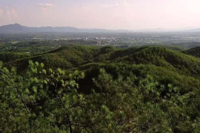 圖片關(guān)鍵詞