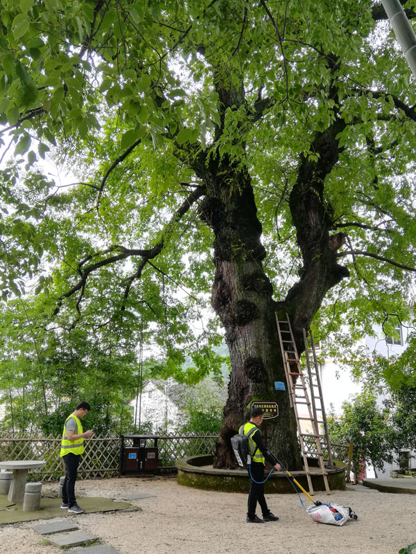 圖片關(guān)鍵詞