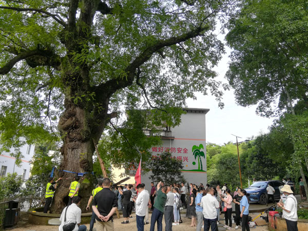 圖片關(guān)鍵詞