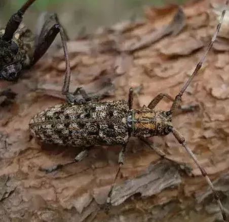 圖片關(guān)鍵詞