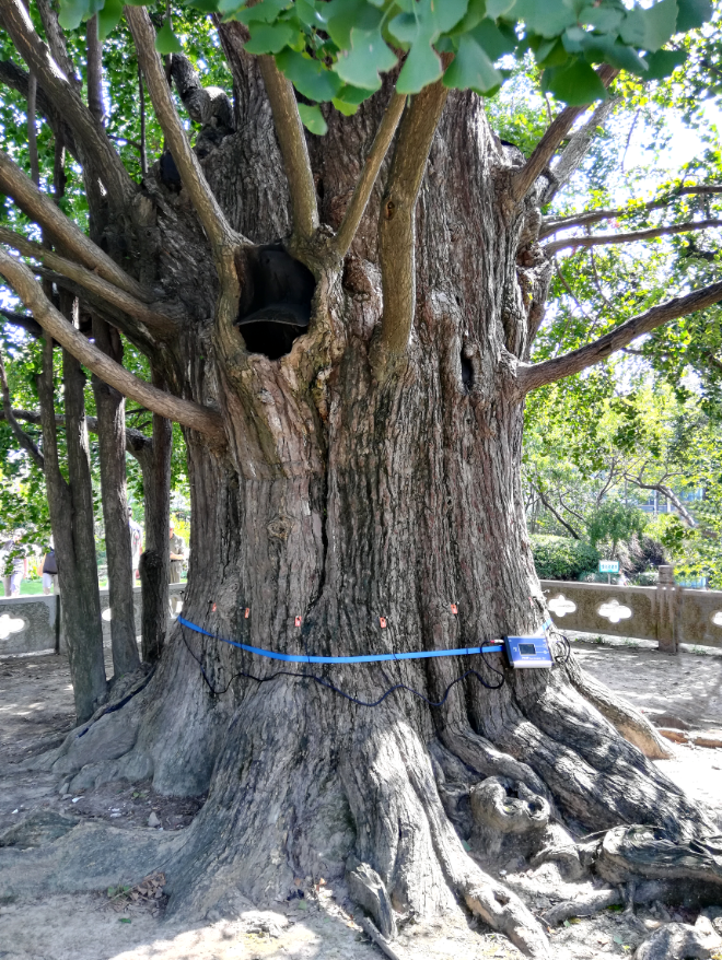 圖片關(guān)鍵詞