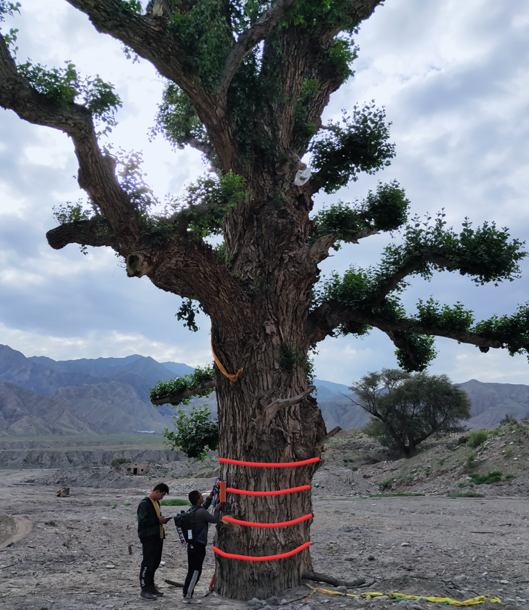 圖片關(guān)鍵詞