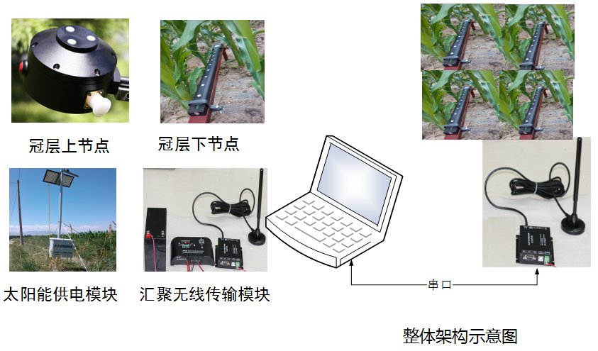 葉面積指數(shù)儀