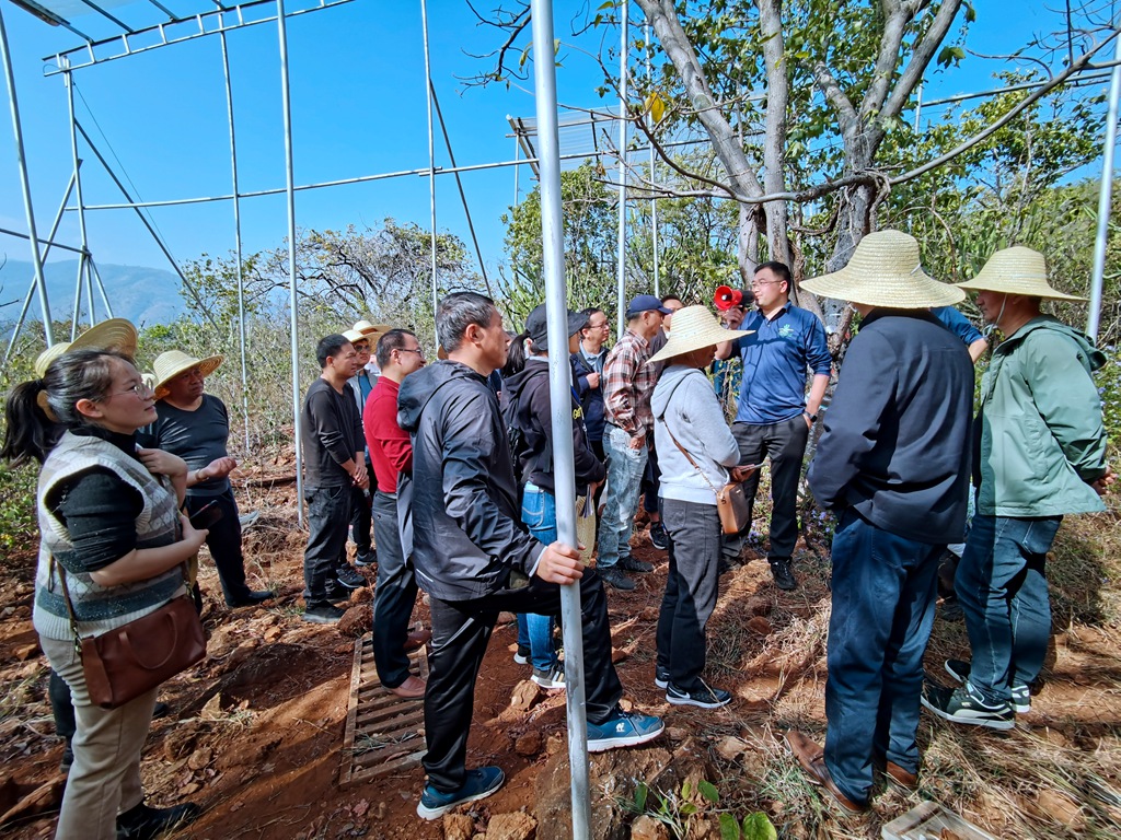 薩王納科學(xué)論壇
