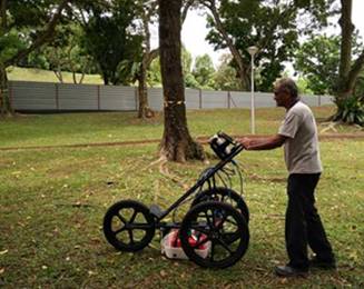 TRU樹木雷達檢測系統(tǒng)