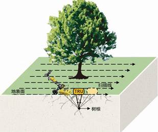 TRU樹木雷達檢測系統(tǒng)