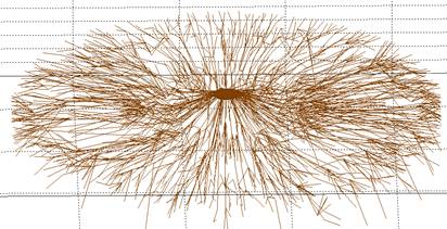 TRU樹木雷達檢測系統(tǒng)