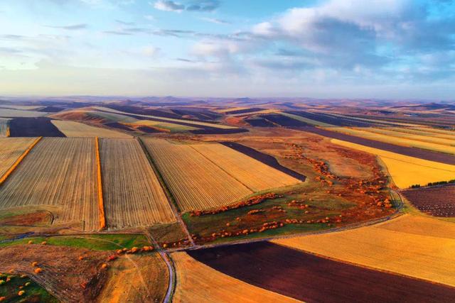 2022年中央一號(hào)文件發(fā)布！要點(diǎn)速讀