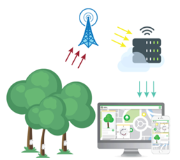 木傾斜智能監(jiān)測系統(tǒng)