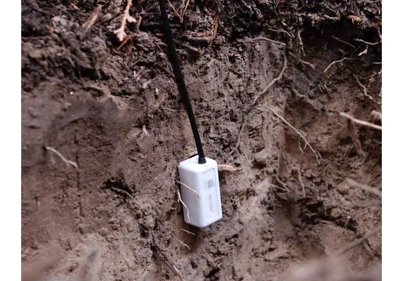 土壤水分記錄儀