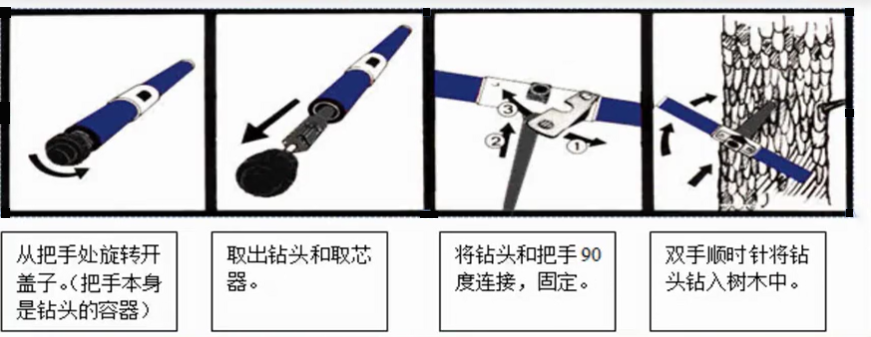 樹(shù)木生長(zhǎng)錐全攻略