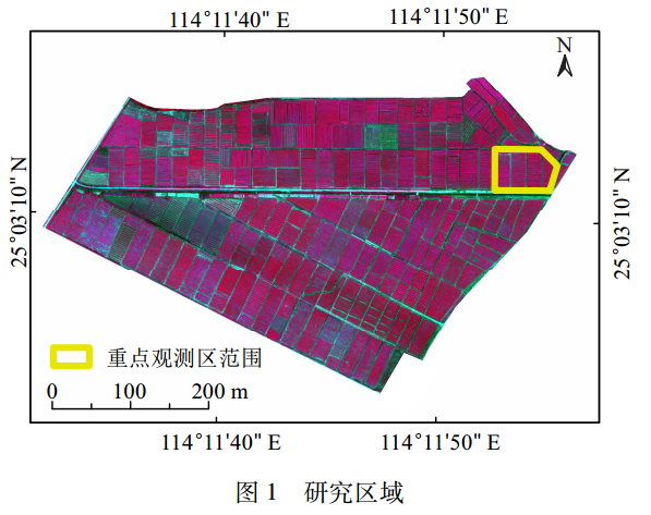 圖片關(guān)鍵詞