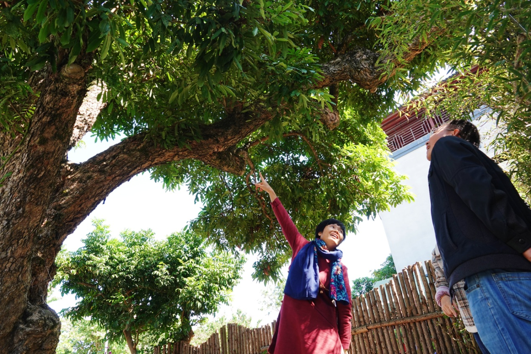 圖片關(guān)鍵詞