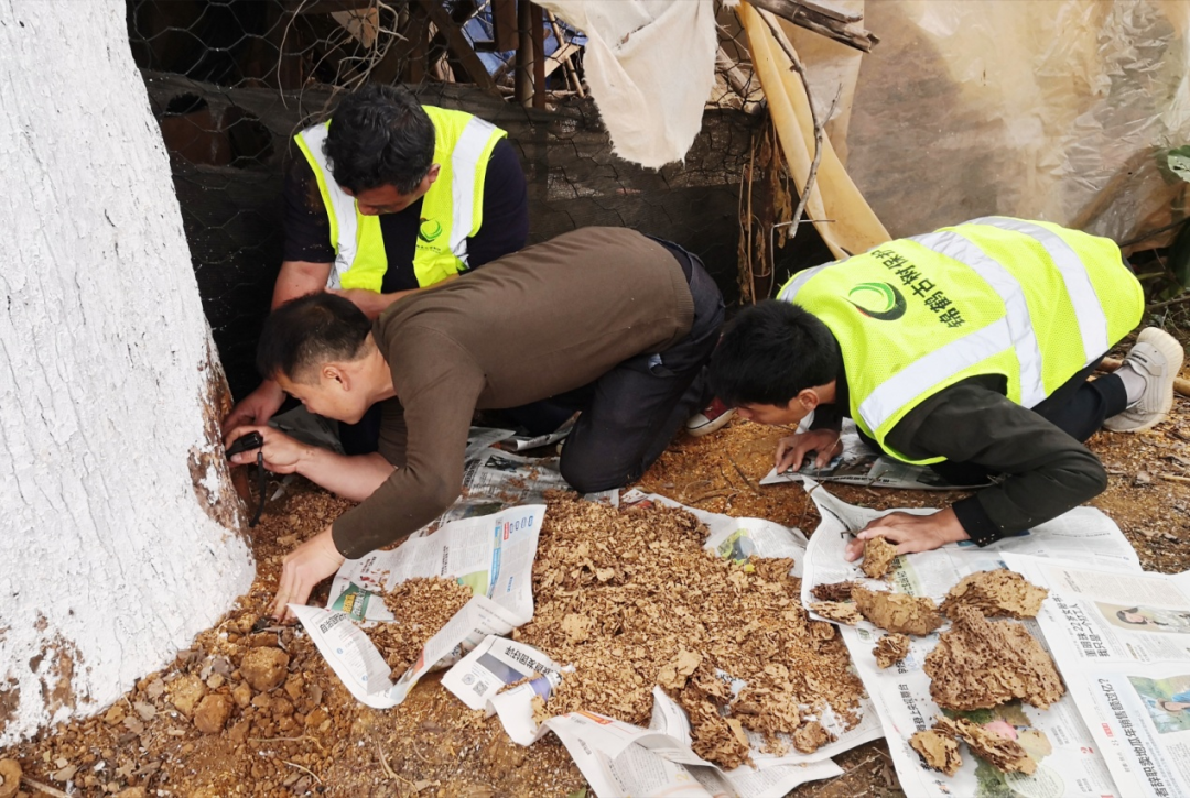 圖片關(guān)鍵詞