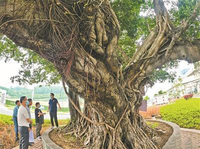 圖片關(guān)鍵詞