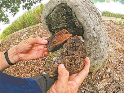 圖片關(guān)鍵詞