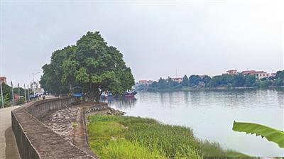 圖片關(guān)鍵詞