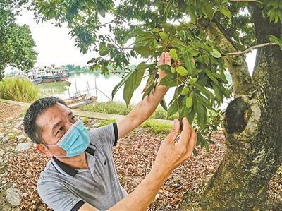 圖片關(guān)鍵詞