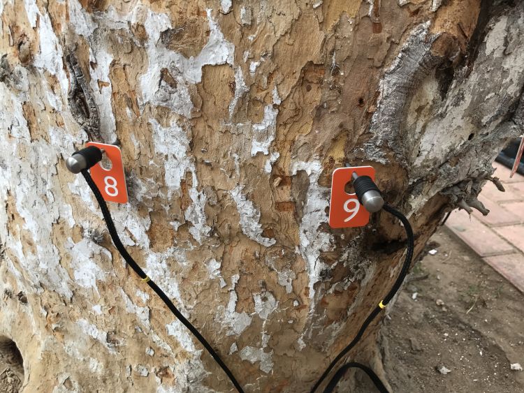 圖片關(guān)鍵詞