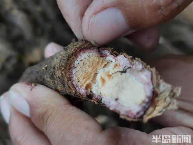 圖片關(guān)鍵詞