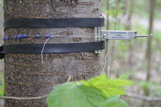 圖片關(guān)鍵詞