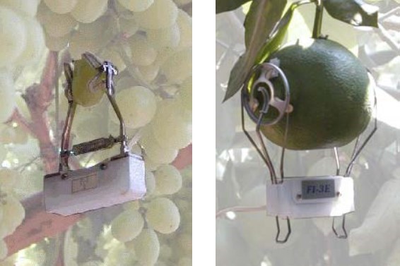 圖片關(guān)鍵詞