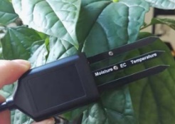 土壤水分溫度電導(dǎo)率傳感器