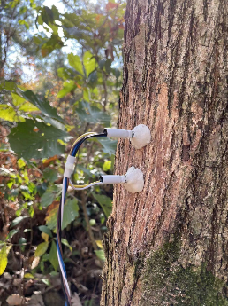 插針莖流監(jiān)測