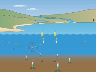 圖片關(guān)鍵詞