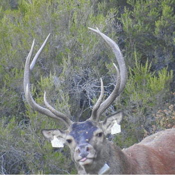 圖片關(guān)鍵詞