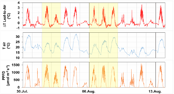 圖片關鍵詞 圖片關鍵詞