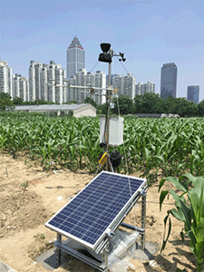 植物生理生態(tài)監(jiān)測(cè)-點(diǎn)將科技