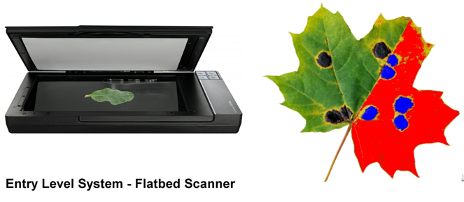 圖片關(guān)鍵詞 圖片關(guān)鍵詞