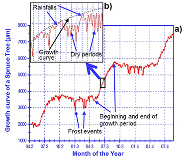 樹木生長測(cè)量儀 樹木生長測(cè)量儀