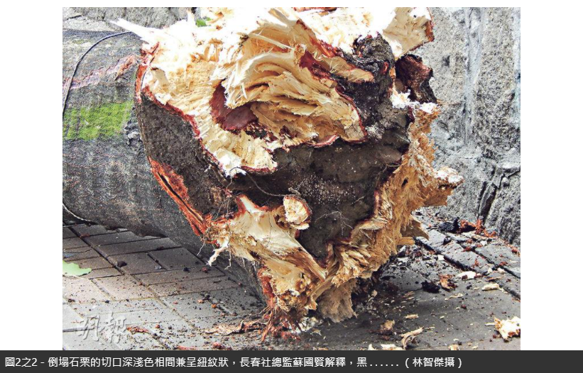 圖片關(guān)鍵詞