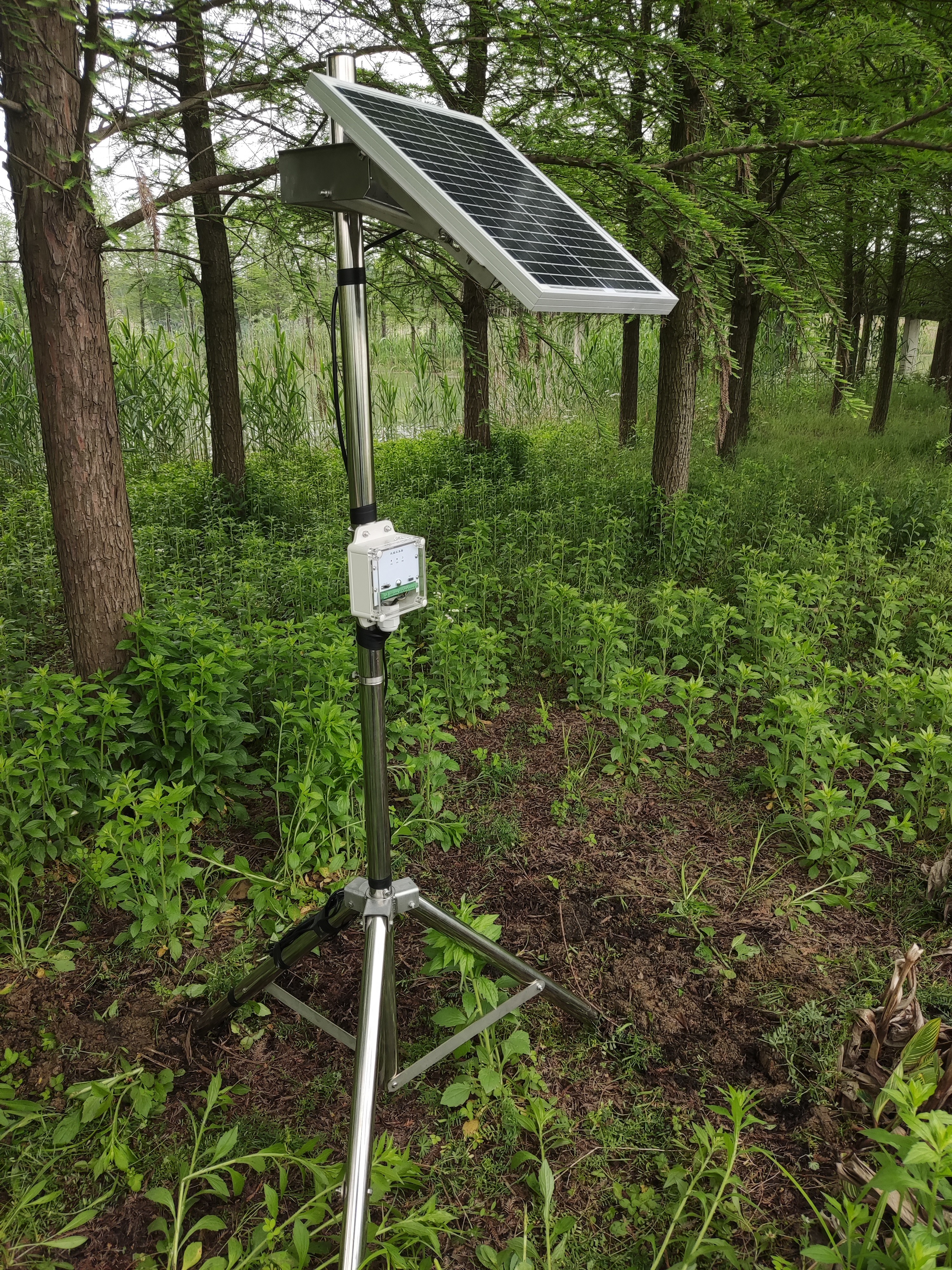 DJ土壤水分溫度監(jiān)測