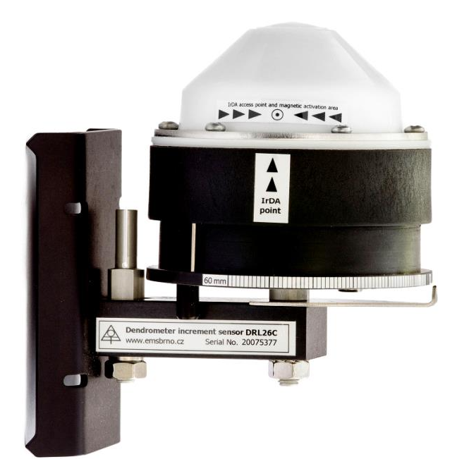 樹干莖稈生長變化測量 樹干莖稈生長變化測量