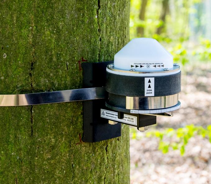 樹干莖稈生長變化測量儀 樹干莖稈生長變化測量儀