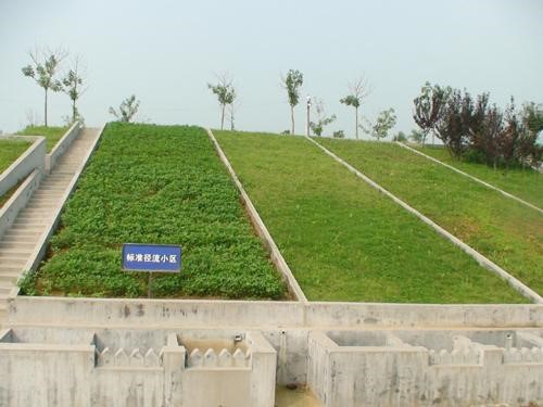 原位地表徑流場