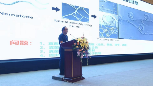 昆蟲(chóng)學(xué)會(huì)年會(huì)