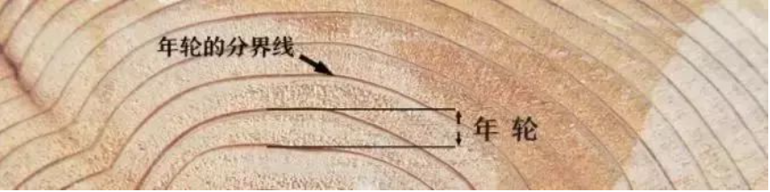 圖片關(guān)鍵詞