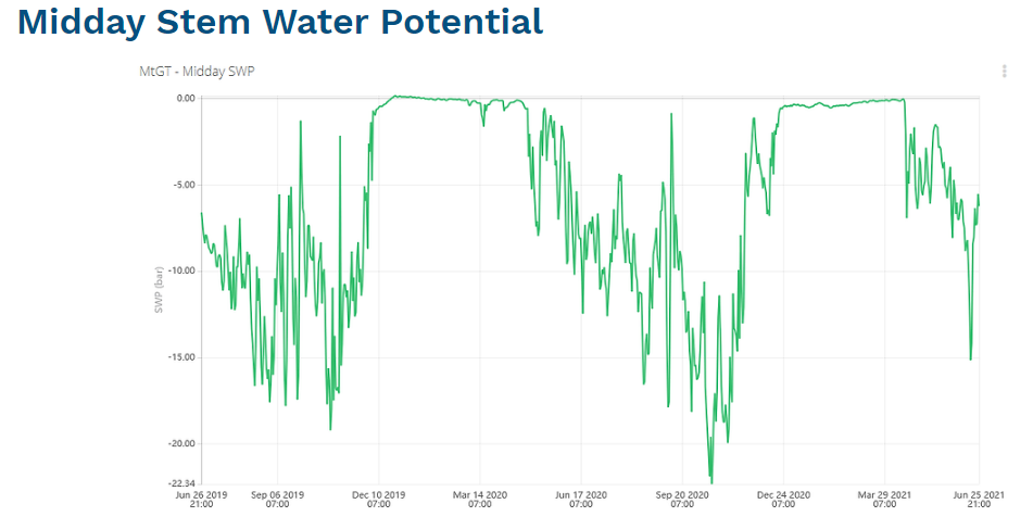 原位莖桿水勢(shì)測(cè)量儀 原位莖桿水勢(shì)測(cè)量儀